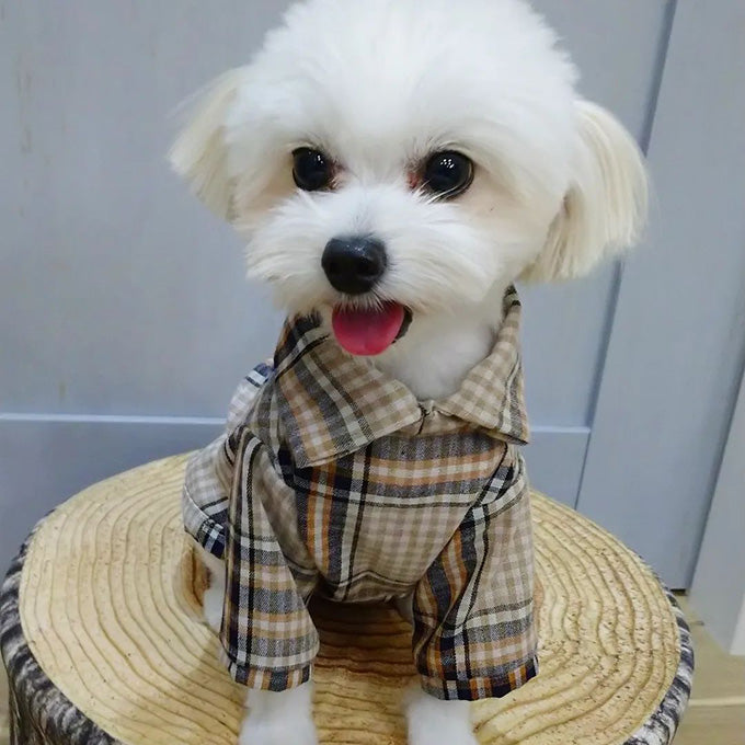 Miru
