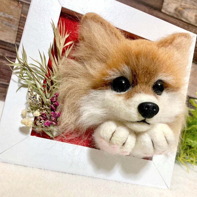 拉米羊毛動畫
