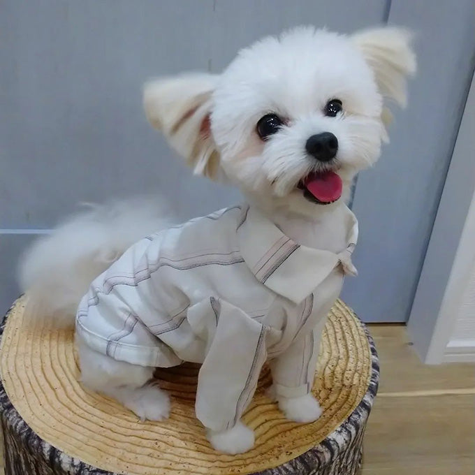 Miru