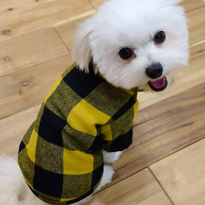 Miru