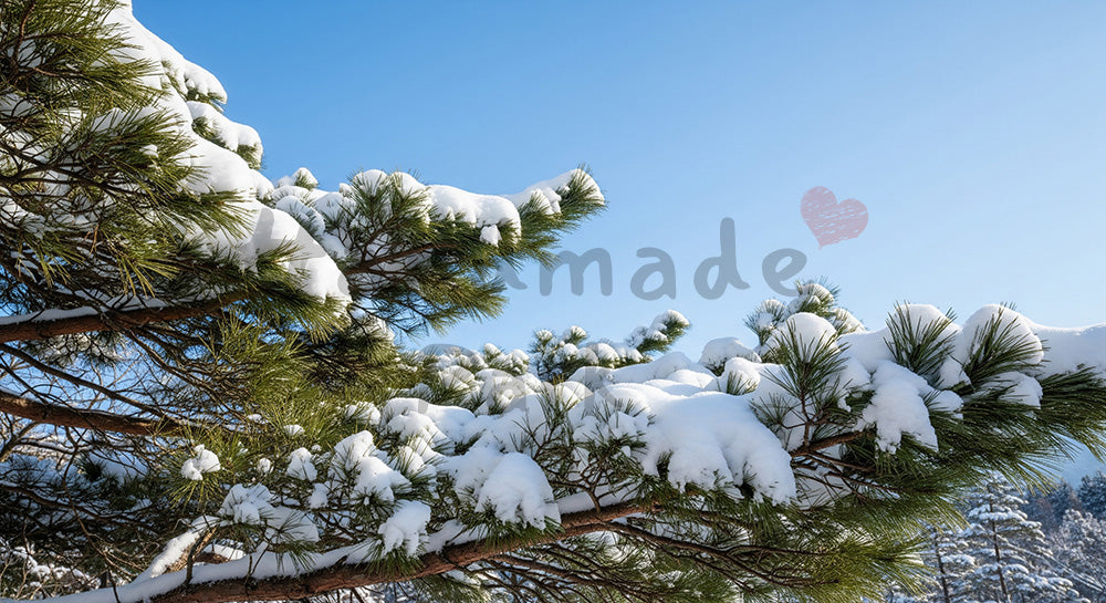 フリー素材 無料 写真|雪をまとった松の枝と青空が美しい和の冬景色年末年始のデザインにも使える横長背景写真 デザイナー向け