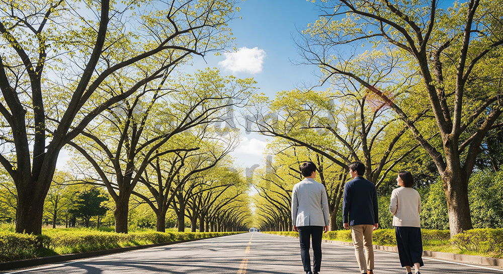 フリー素材 無料 写真|青空へ続く並木道を歩く日本人同僚の後ろ姿、前向きなチームの未来イメージ