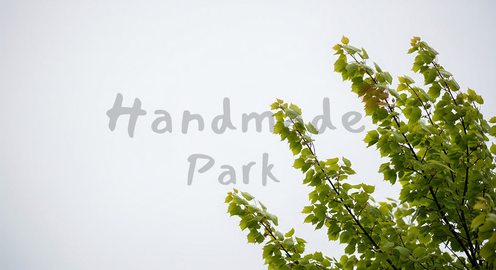 フリー素材 無料 写真|SDGsの風と緑を想起する若木の葉背景 空抜けスペースで文字入れ