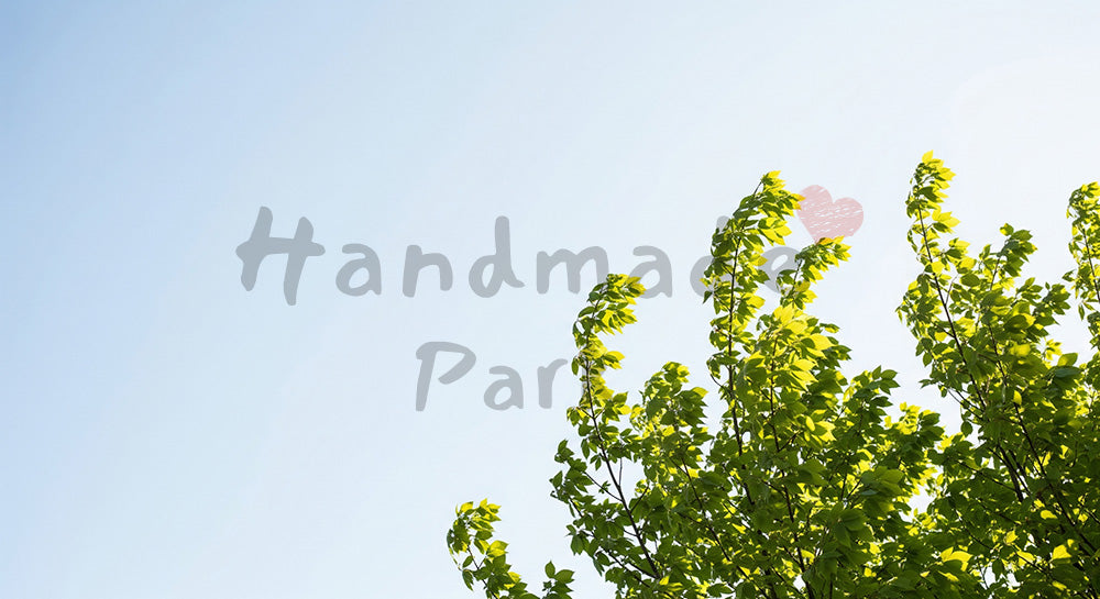 フリー素材 無料 写真|SDGsの風と緑を想起する若木の葉背景 空抜け余白で文字入れ