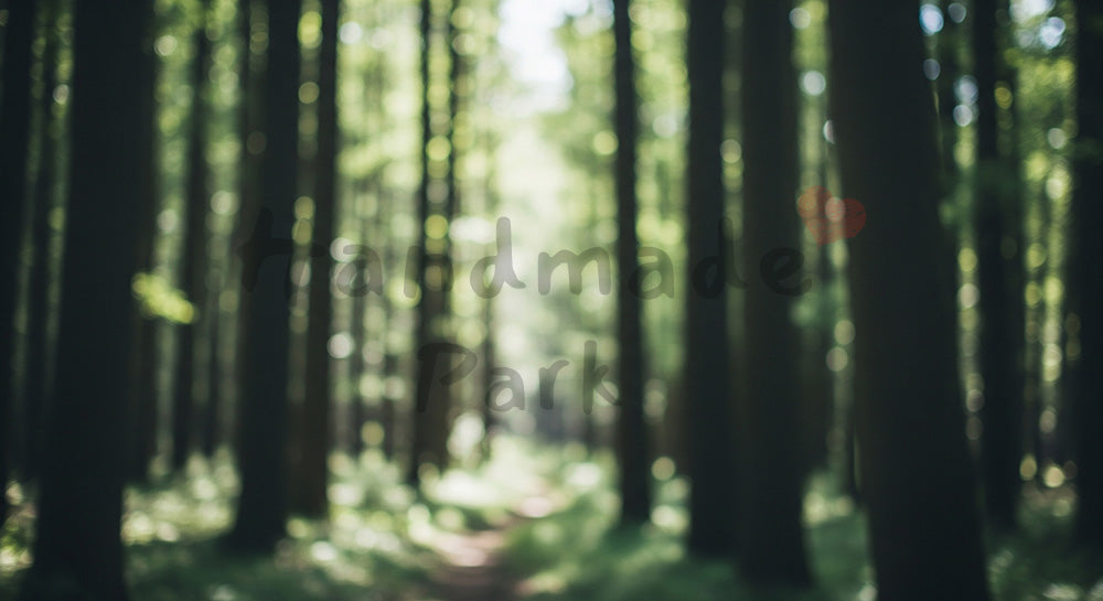 フリー素材 無料 写真|SDGsに合う奥行きのある森背景 明度が高い余白で文字入れしやすい