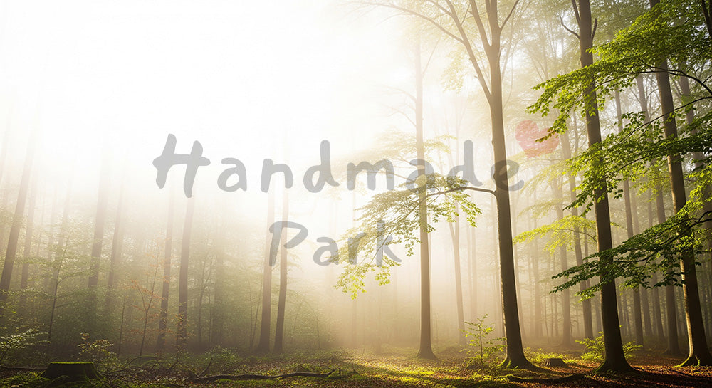 フリー素材 無料 写真|SDGs向け朝の森のクリーンバックグラウンド 明るい空きスペースで文字入れしやすい