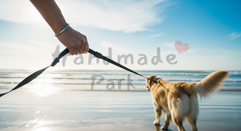 フリー素材 無料 写真|散歩シーンの犬の写真|トップページのビジュアルに