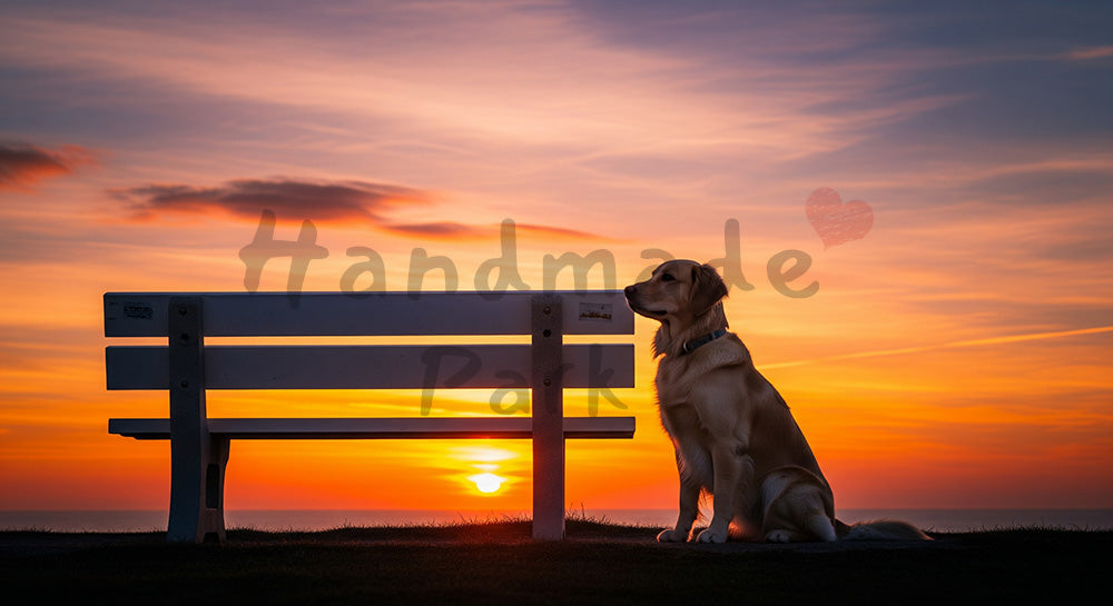 フリー素材 無料 写真|やわらかな自然光の夕焼け空と犬のシルエット寄り背景|教育・教材の挿絵に
