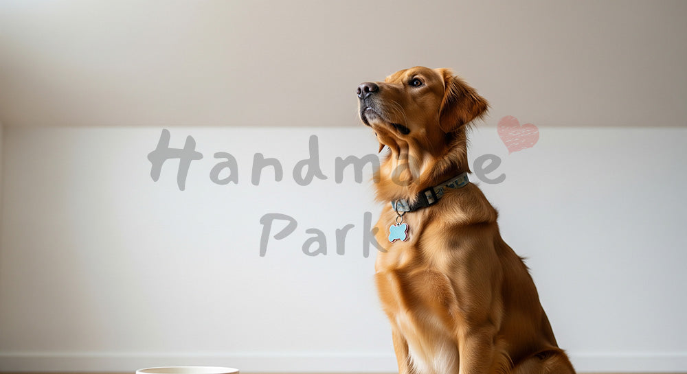 フリー素材 無料 写真|おやつでトレーニングする犬 しつけの前向きイメージと余白の写真|チラシ・ポスターにも活躍