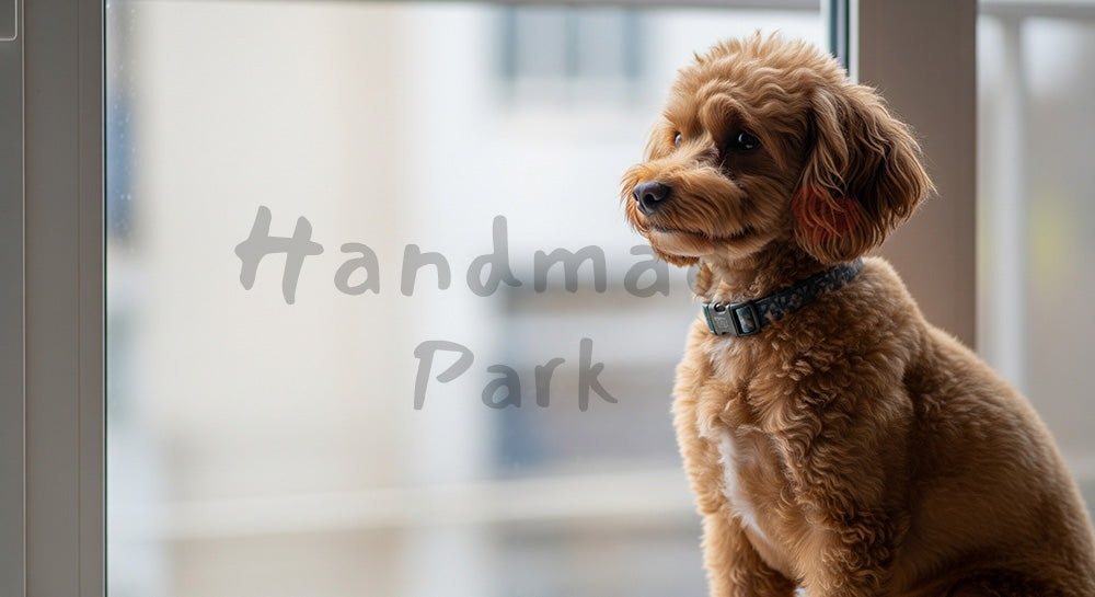 フリー素材 無料 写真|やわらかな自然光の犬のフリー素材|SNS投稿の背景におすすめ