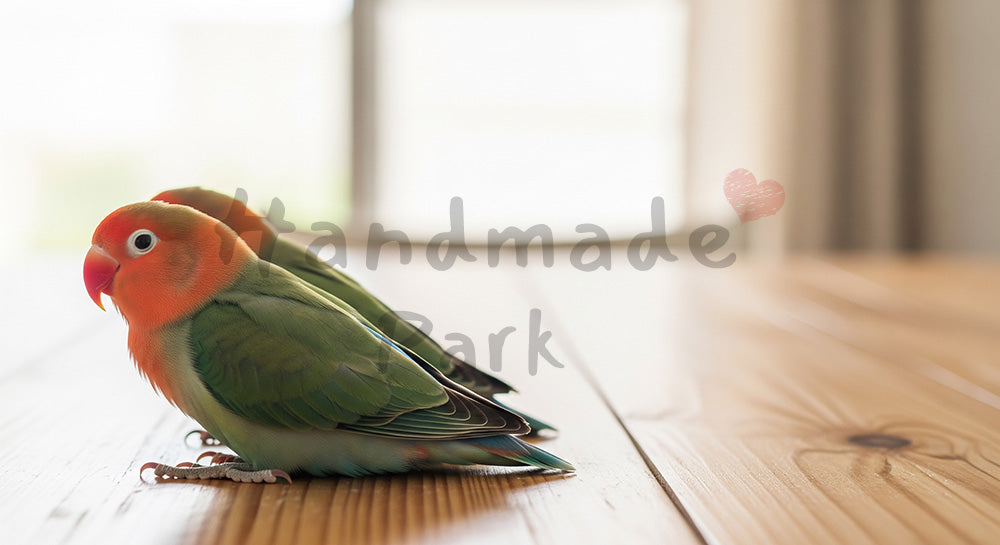 フリー素材 無料 写真|コザクラインコのペアがくつろぐ室内シーン、教育・教材の挿絵に