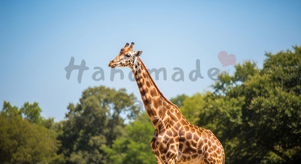 フリー素材 無料 写真|動物園のキリンが歩く伸びやかな姿、清潔感あるビジュアルに