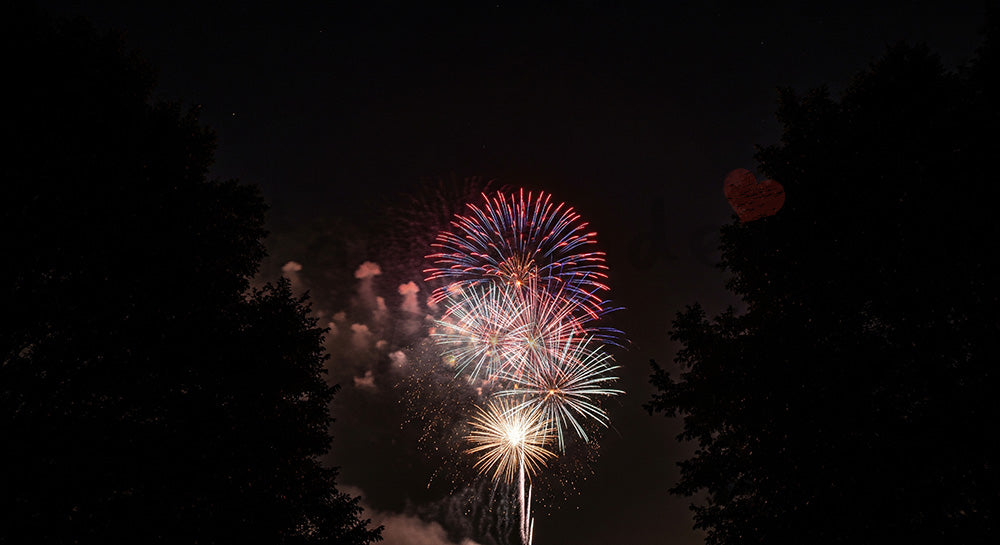フリー素材 無料 写真|花火を囲む木のシルエットフレーム 中央余白が大きい夜空の背景素材