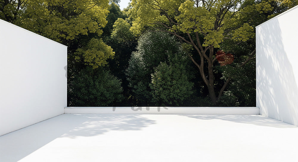 フリー素材 無料 写真|常緑樹と明るい壁面余白文字入れ向き|作品紹介に使えるナチュラルな画像