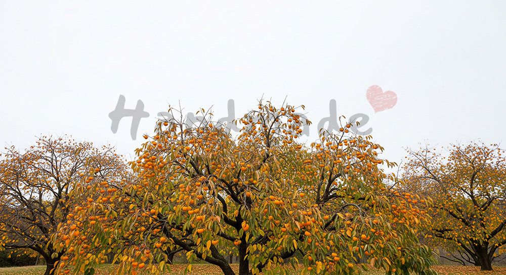 フリー素材 無料 写真|柿の木の落ち葉秋の季節感と余白|ショップ特集に使えるナチュラルな画像