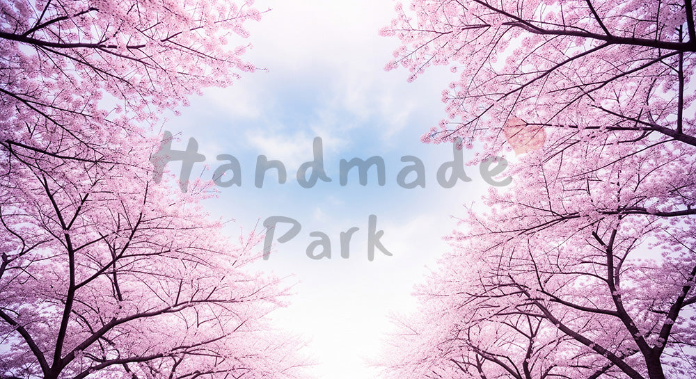 フリー素材 無料 写真|空抜け余白の桜並木ふんわり逆光|告知バナーに使えるナチュラルな画像