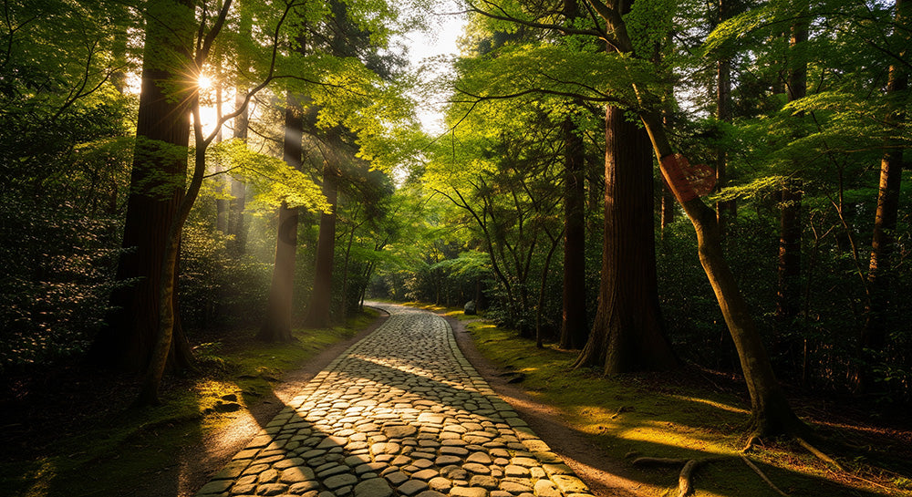 フリー素材 無料 写真|日本の森の石畳風遊歩道 木漏れ日と整った道が美しい資料背景向け風景|資料・LPの背景に使いやすい