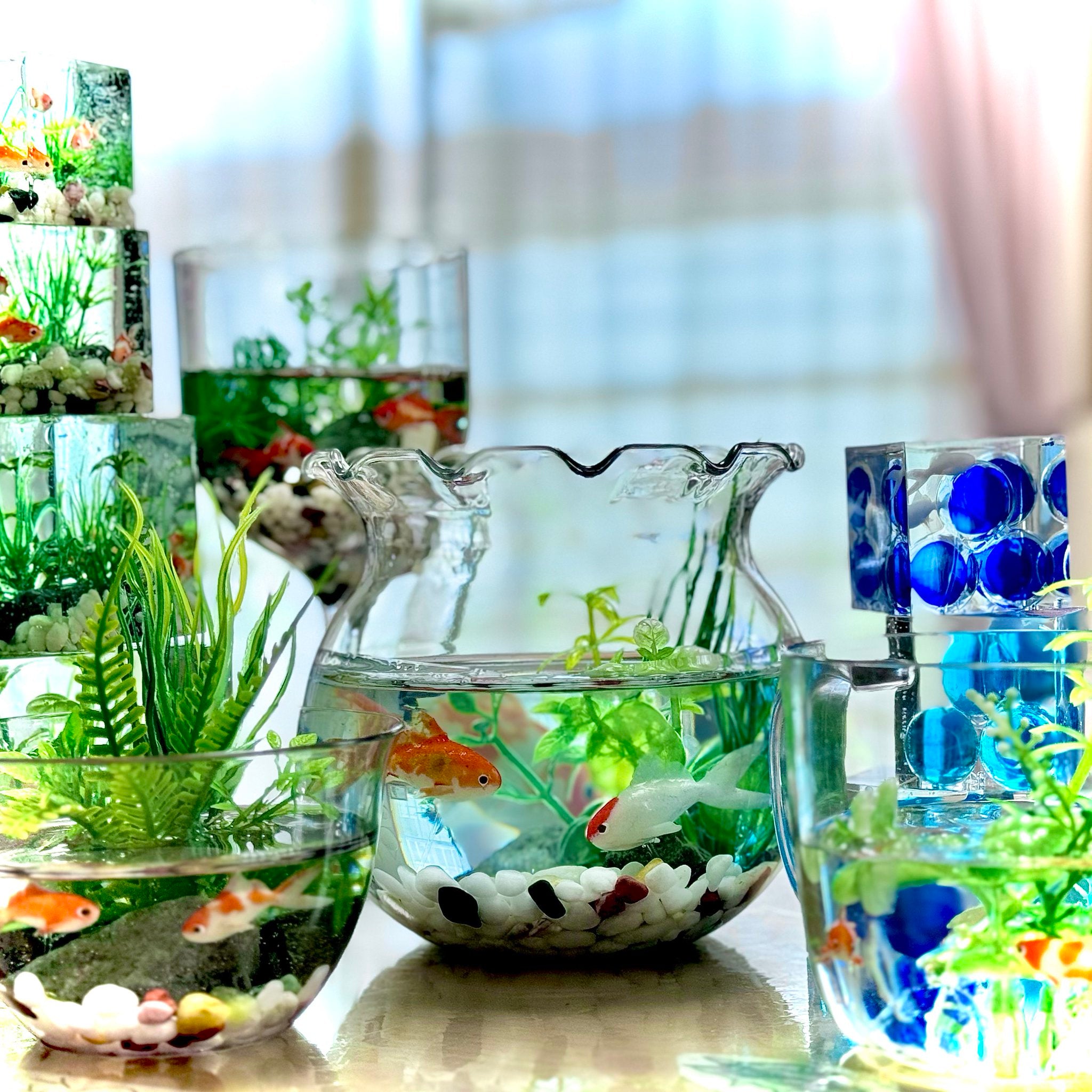 金魚Museum