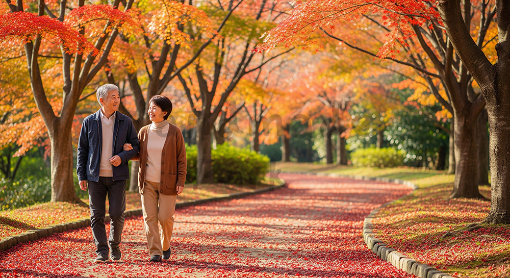 フリー素材 無料 写真｜紅葉の公園を歩く日本人シニア夫婦、健康的ライフスタイルと安心感を伝える秋の散歩道シーン コピースペースあり