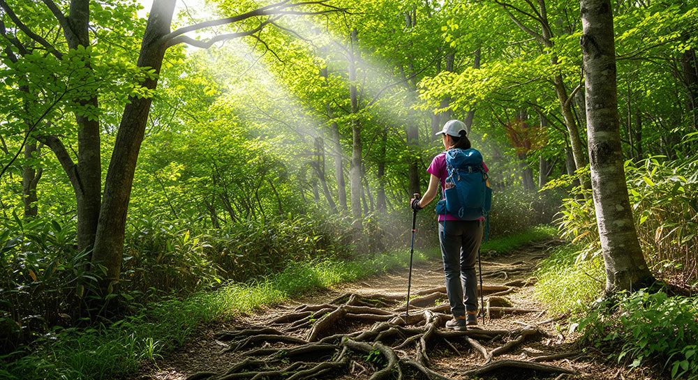 フリー素材 無料 写真｜山道トレイルを歩く日本人女性ハイカーのアウトドア・登山シーン 写真背景