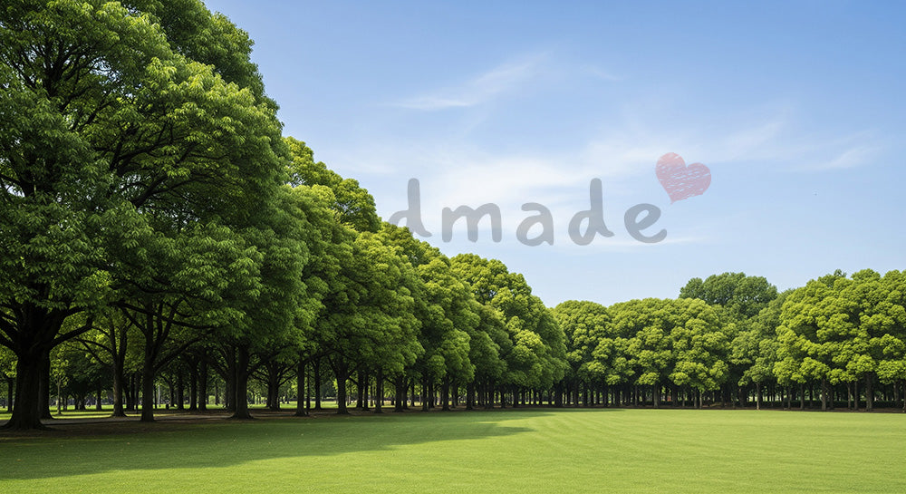 フリー素材 無料 写真｜青空と並木の公園風景、デザイン素材に使える高解像度背景写真