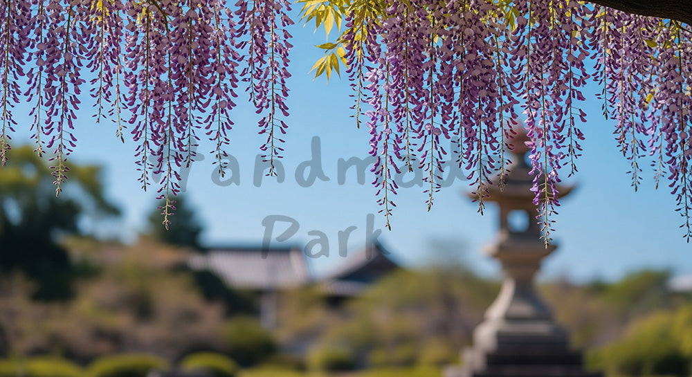 フリー素材 無料 写真｜青空に藤の花房が揺れる上品な和テイスト春背景ブランド要素なしで紙面やWebに使える素材 デザイナー向け