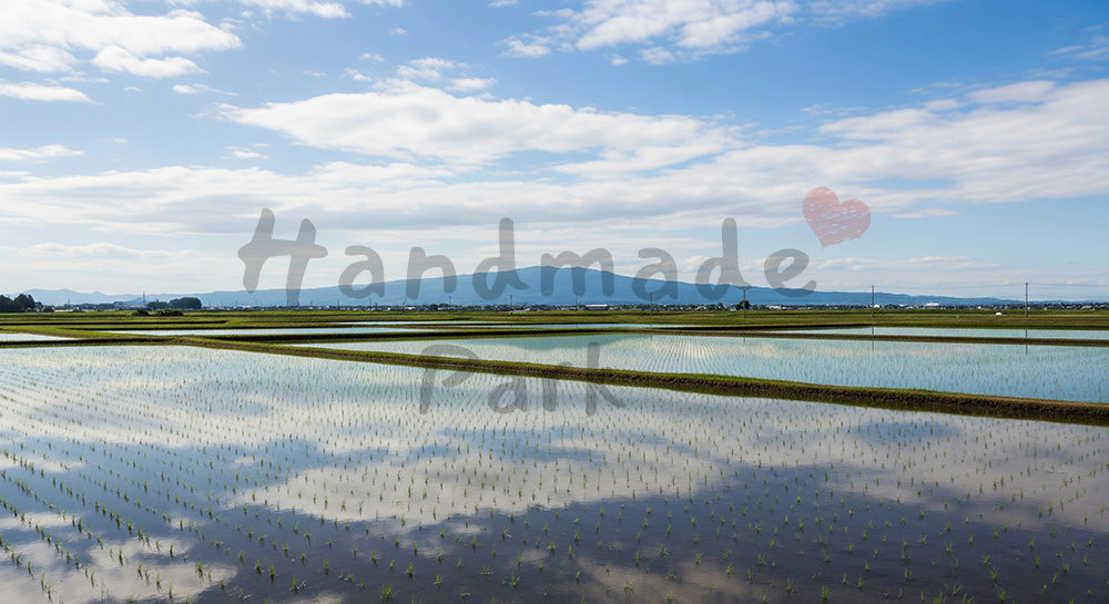 フリー素材 無料 写真｜初夏の田んぼに青空が鏡のように映る日本の田園風景、和の季節感を伝える横長バックグラウンド写真 デザイナー向け