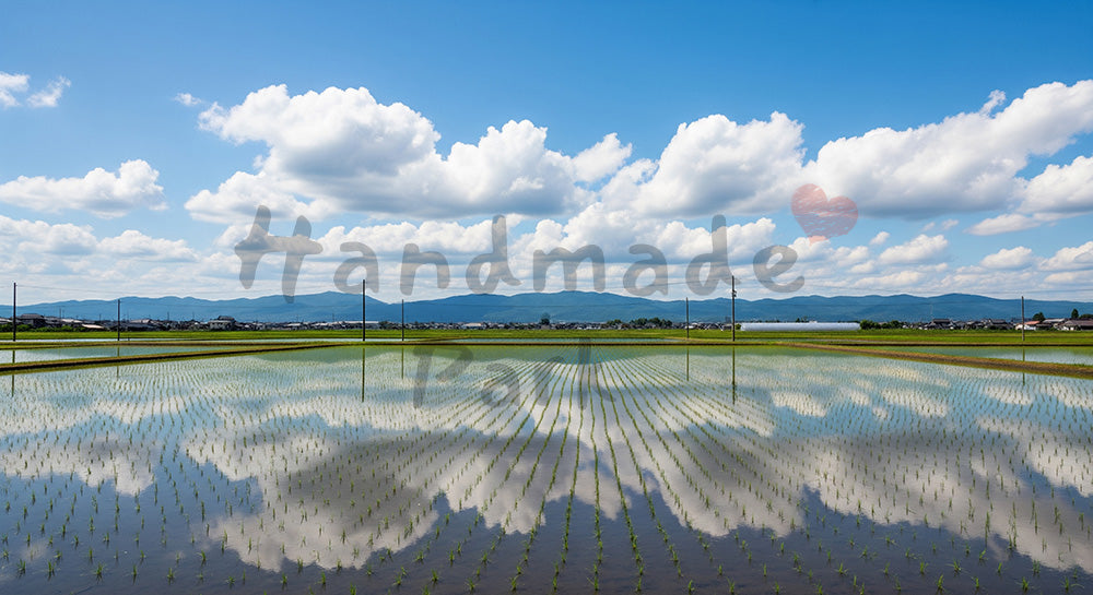 フリー素材 無料 写真｜初夏の田んぼに青空が鏡のように映る日本の田園風景、和の季節感を伝える横長背景写真 デザイナー向け