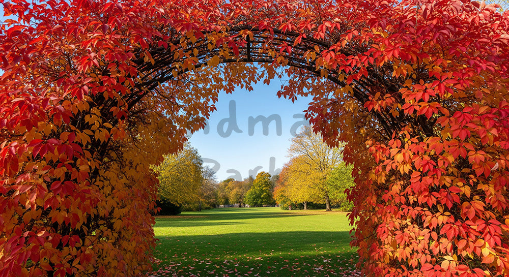 フリー素材 無料 写真｜紅葉の葉の間から青空と公園が見える秋のフレーム構図、見出し配置に強い横長バックグラウンド写真 デザイナー向け