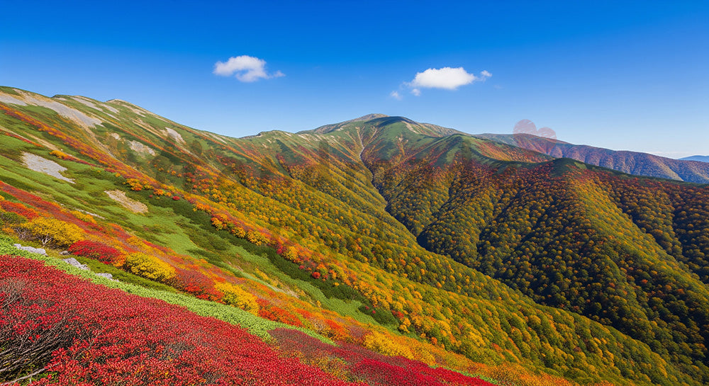 フリー素材 無料 写真｜迫力と余白を両立した横長背景写真 デザイナー向け 一枚のある山一面の紅葉と澄んだ青空をパノラマ風に切り取った秋景色