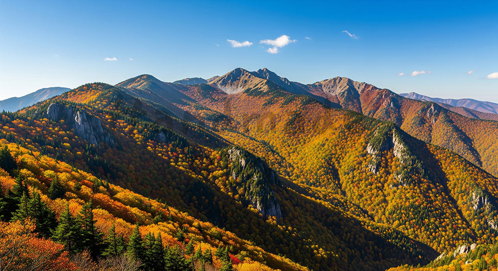 フリー素材 無料 写真｜山一面の紅葉と澄んだ青空をパノラマ風に切り取った秋景色、迫力と空きスペースを両立した横長バックグラウンド写真 デザイナー向け 一枚