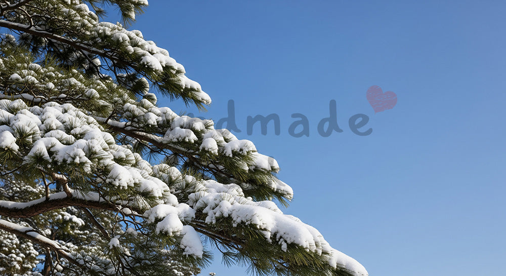 フリー素材 無料 写真｜雪をまとった松の枝と青空が美しい和の冬景色、年末年始のデザインにも使える横長バックグラウンド写真 デザイナー向け
