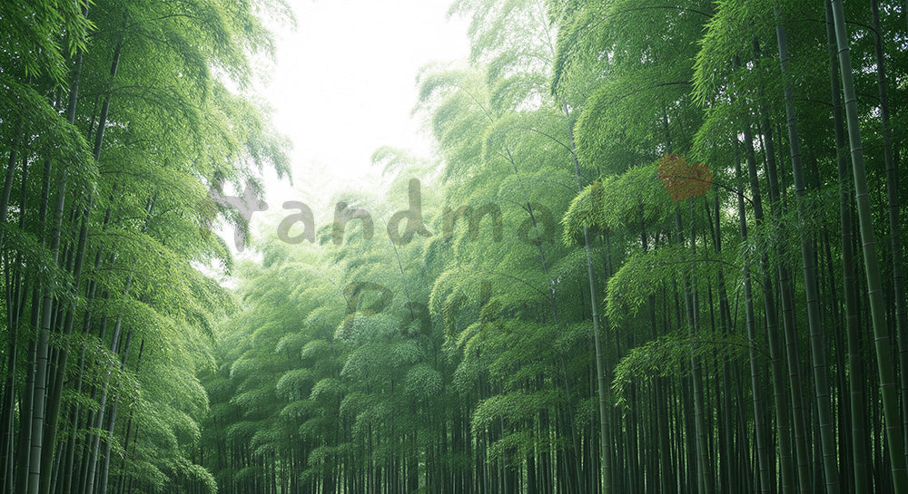 フリー素材 無料 写真｜柔らかい竹林の背景 写真背景