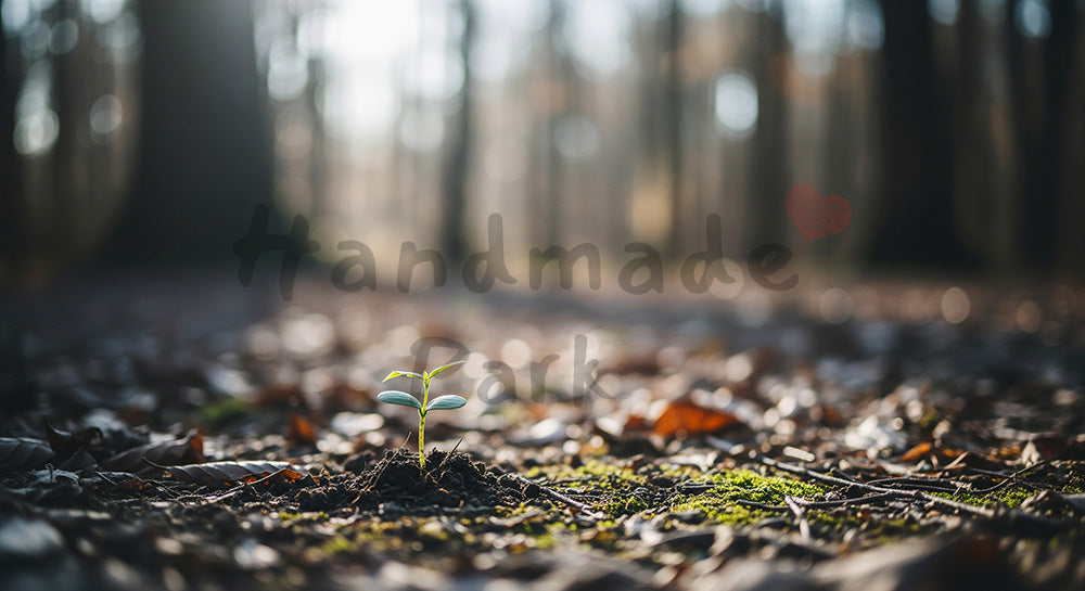 フリー素材 無料 写真｜SDGsを想起する芽吹く苗木の森背景 文字入れしやすい余白