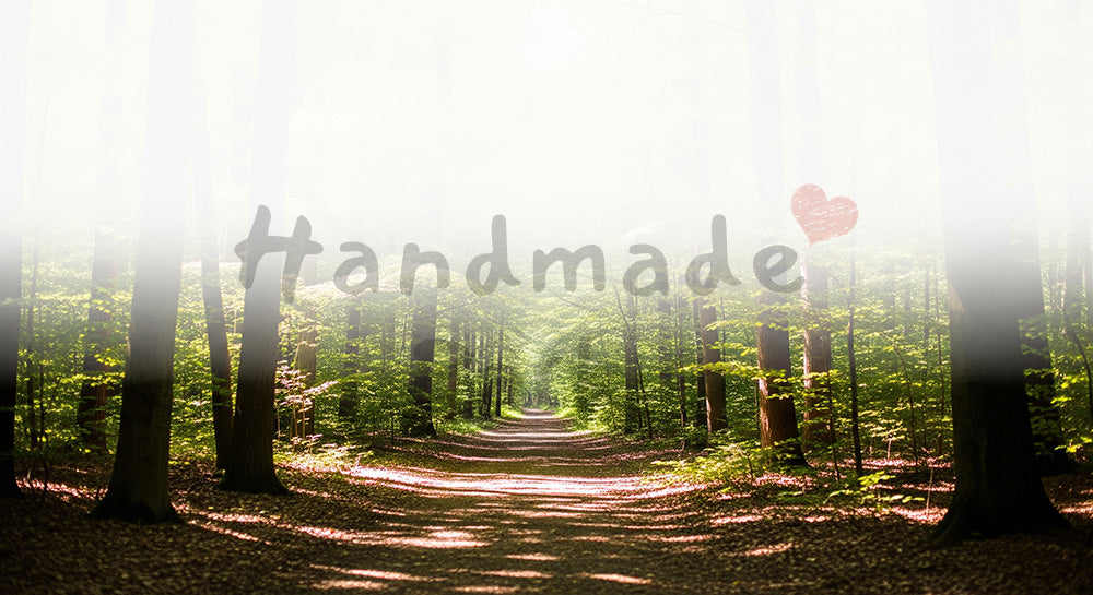 フリー素材 無料 写真｜SDGsに合う木洩れ日の森の小道背景 大きなスペースでデザイン向け