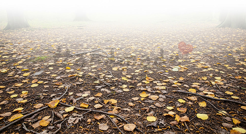フリー素材 無料 写真｜SDGsの循環を想起する落ち葉と土の自然テクスチャ背景 余白あり 背景素材