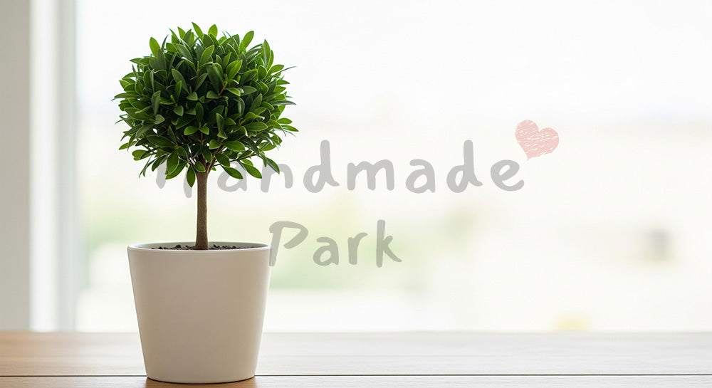 フリー素材 無料 写真｜SDGsのグリーンライフを想起する鉢植えの樹木背景 文字入れ余白