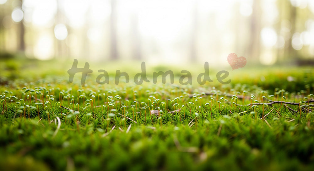フリー素材 無料 写真｜SDGsの自然回復を想起する苔と芽の背景 明るいスペースで文字入れ