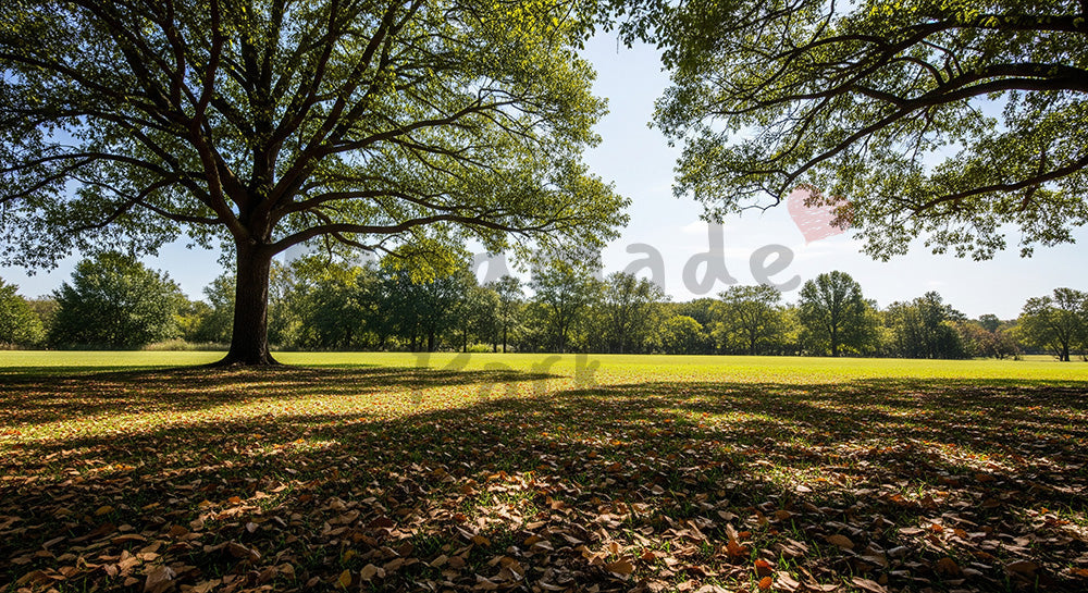 フリー素材 無料 写真｜SDGsの自然共生を想起する芝生と落ち葉背景 明るい余白で文字入れ