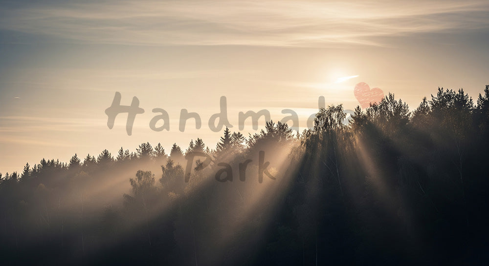 フリー素材 無料 写真｜SDGsに合う夕方の森と空の背景 暖かいトーンで文字入れ余白 背景素材