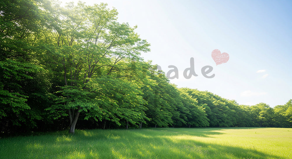 フリー素材 無料 写真｜SDGsの里山保全を想起する森と草地の境界背景 空の余白