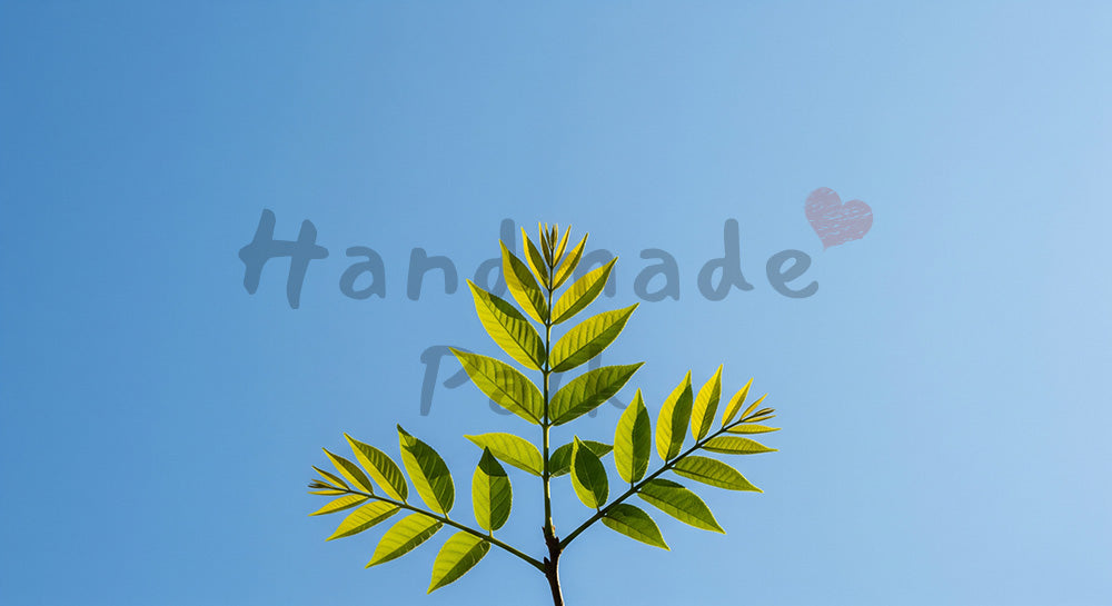 フリー素材 無料 写真｜SDGsに合う若葉の枝先と空の背景 余白多めで文字入れ 背景素材