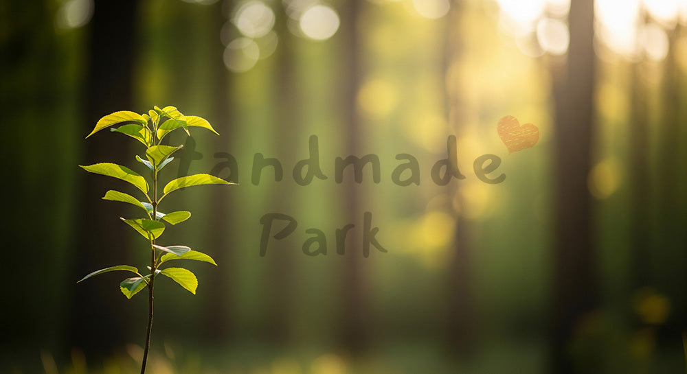 フリー素材 無料 写真｜SDGsの未来を象徴する一本の若木バックグラウンド 文字入れスペース確保