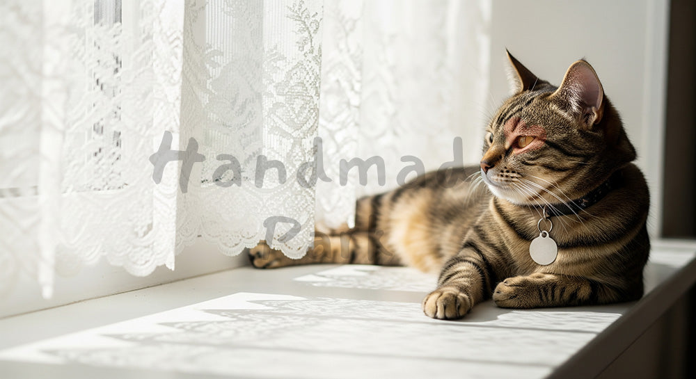 フリー素材 無料 写真｜窓辺の猫の写真｜落ち着いたトーンの背景に