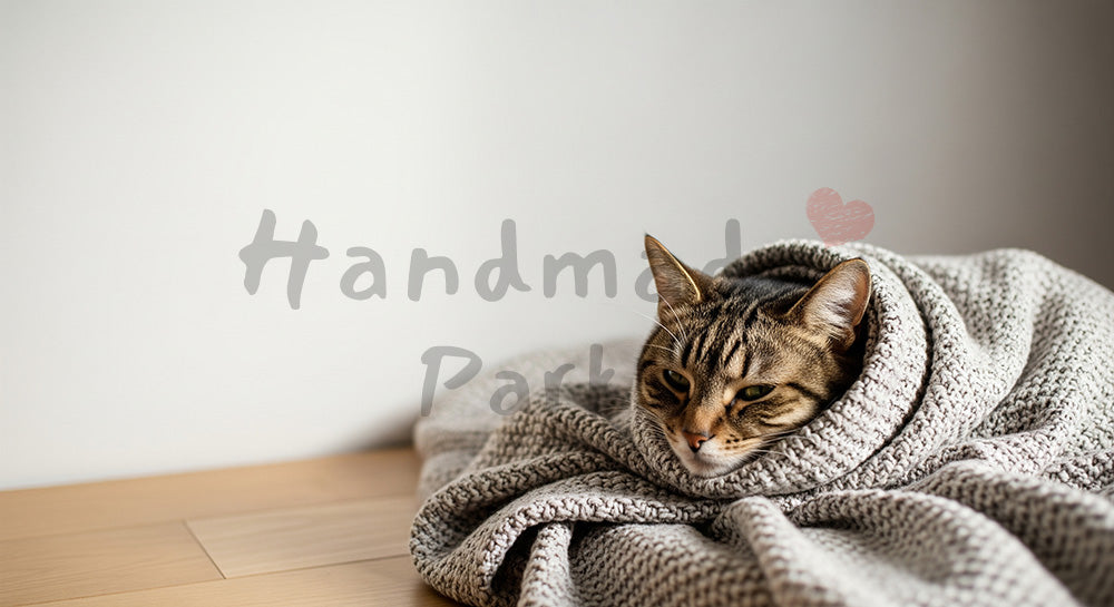 フリー素材 無料 写真｜暮らしの中の猫｜ペットライフスタイルを添えたコピースペースを活かせる