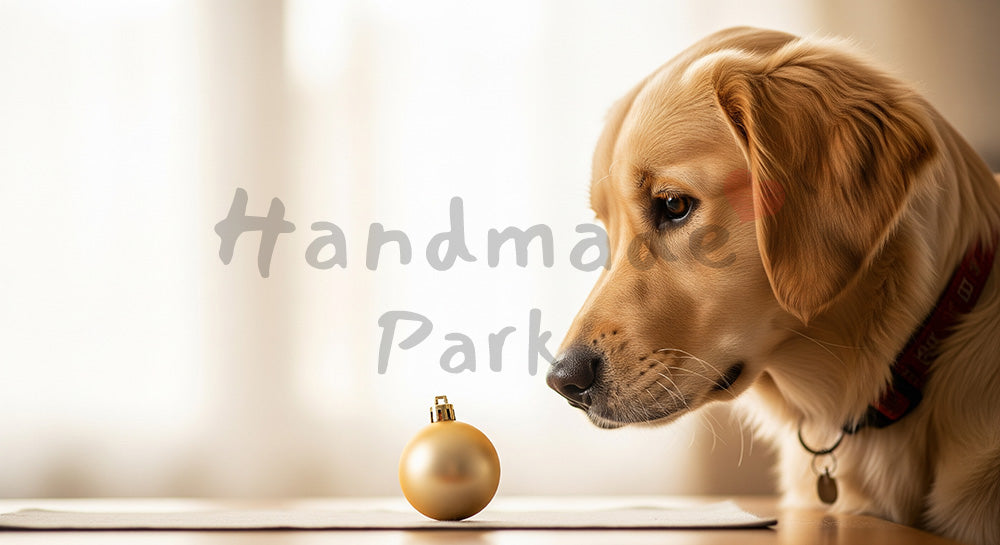 フリー素材 無料 写真｜クリスマスの室内の犬｜ペットライフスタイルを添えた明るいトーンで使える