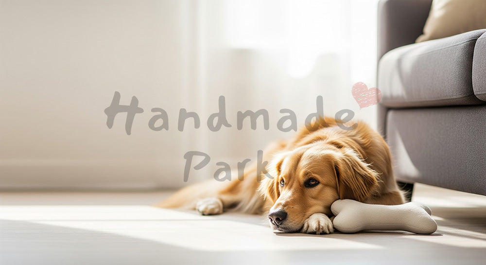 フリー素材 無料 写真｜リビングのソファの犬、チラシ・ポスターにも活躍
