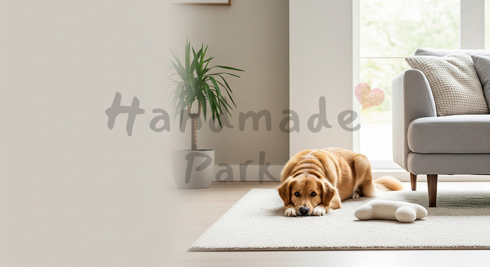 フリー素材 無料 写真｜リビングのソファの犬｜トップページのビジュアルに