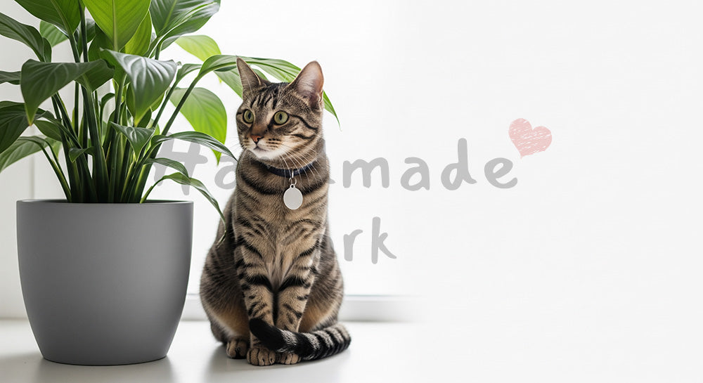 フリー素材 無料 写真｜文字入れしやすい余白に使える観葉植物と猫のナチュラル室内背景