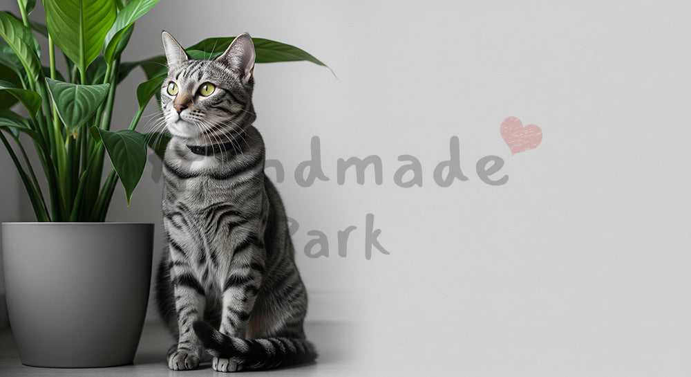 フリー素材 無料 写真｜観葉植物と猫のナチュラル室内背景、サムネイル作成に便利